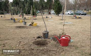 آیین پدران آسمانی  20