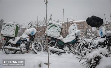 بارش برف زمستانی در شمیران  9