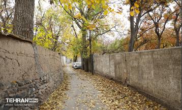 طبیعت پاییزی کوچه باغ‌های محله کن 2