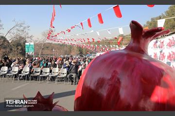 آیین یلدای مهربانی و کاشت نهال در بوستان سرخه حصار 14