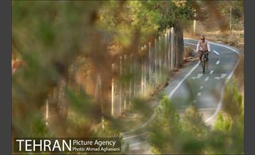 پارک جنگلی چیتگر 31