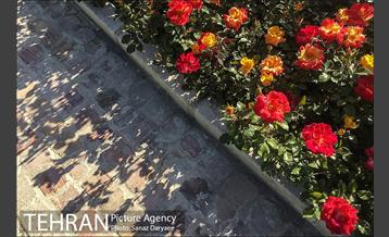 باغ موزه مینیاتور تهران 11