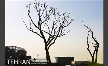 بوستان پرواز 1