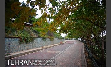 بوستان نهج البلاغه (فاز2) 44