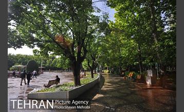 بوستان لاله 18