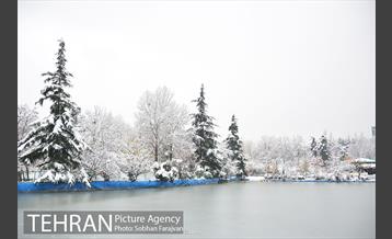 روز برفی تهران در بوستان ملت 12