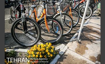 همایش دوچرخه سواری 16