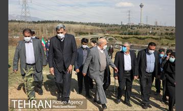 مراسم درختکاری در بوستان پردیسان 5