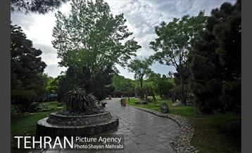 بوستان لاله 4