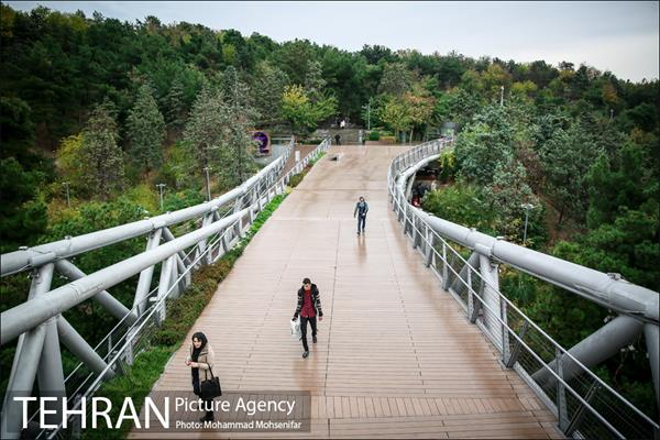 بارش باران پاییزی در تهران 19