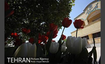 رویش گل های لاله در بوستان گفتگو 7