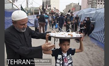 زائران اربعین حسینی 2 8