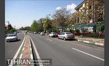 لاله برای مادران 13