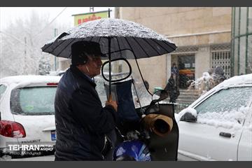 روز برفی در منطقه 8