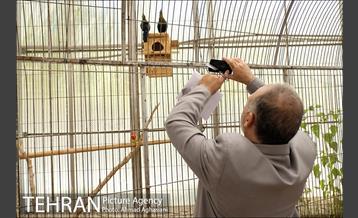 افتتاح اولین "باغچه خبر" در تهران 31