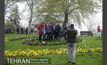 روز طبیعت بارانی در بوستان ملت 2