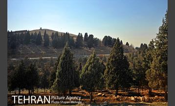 پارک جنگلی سرخه حصار 3