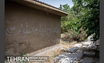 گورستانی به قدمت تاریخ 31