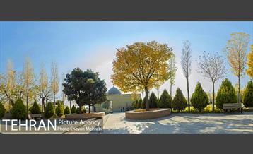 پاییز باغ موزه قصر 1