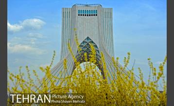 رویش گل های لاله در میدان آزادی 22