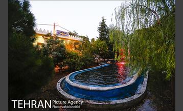 شبگردی اصحاب رسانه در منطقه چهار شهرداری تهران  28