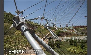 آخرین روزهای ساخت فاز2 باغ پرندگان 6