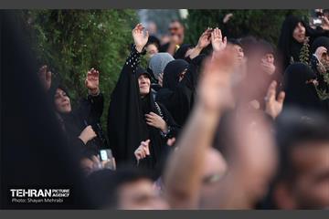 اجتماع امام حسنی‌ها(ع) 7
