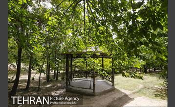 بوستان پلیس 2