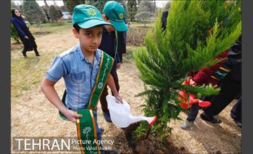 مراسم کاشت نهال در هفته منابع طبیعی (درخت فرهنگ و هنر) 27