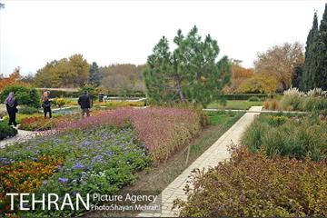 باغ گیاه‌شناسی ملی ایران 4