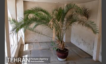 آرامگاه خانوادگی امامزاده عبدالله - شهرری 18