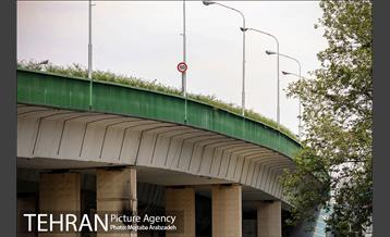 پل‌های تهران؛ پل سید خندان 23