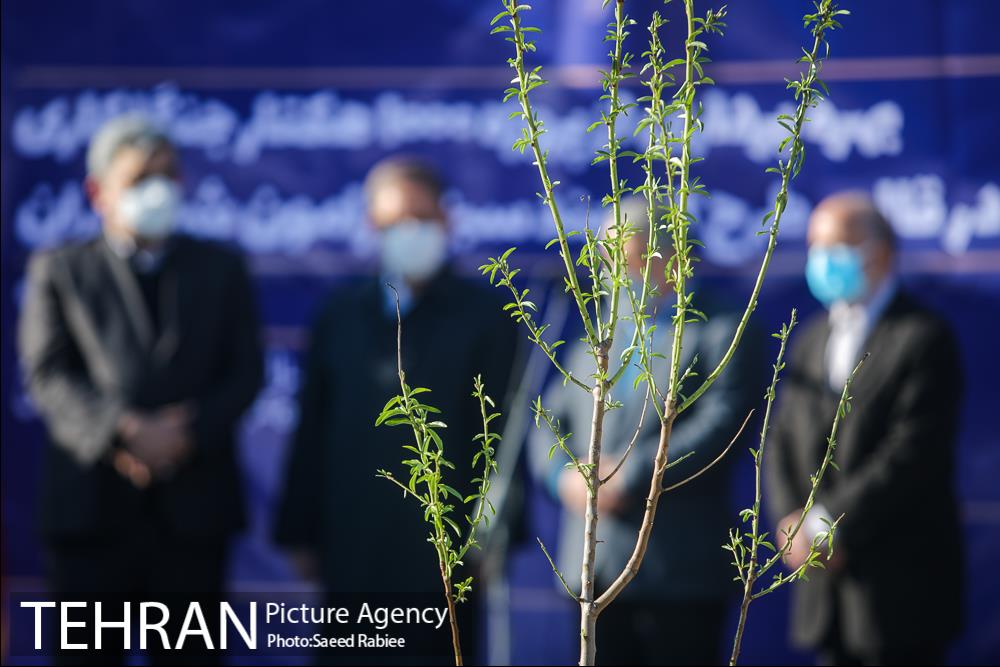 بازدید و افتتاح پروژه جنگل کاری 1000هکتاری در بوستان جنگلی تلو 19