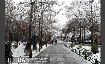 روز برفی بلوار کشاورز 25