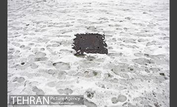 بارش برف زمستانی در تهران 8