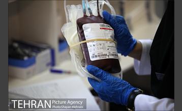 پویش سه شنبه های بدون خودرو 31