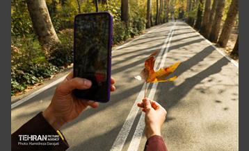 آخرین روزهای پاییزی  14