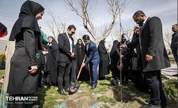 آیین درختکاری در منطقه‌5 14