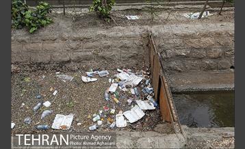 بلوار کشاورز 32