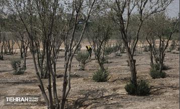 اینجا کارگاهه؛ پروژه بام ری 61