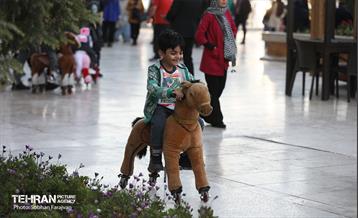 بهار قرآن و طبیعت در برج میلاد 19