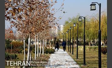 پاییز دریاچه شهدای خلیج فارس 26