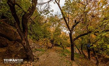 رود دره فرحزاد 50