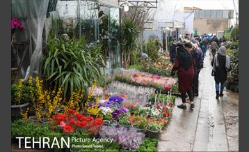 بازار گل و گیاه غرب تهران در آستانه نوروز 14