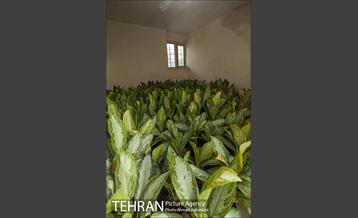 پارک سرخه حصار‎ 7