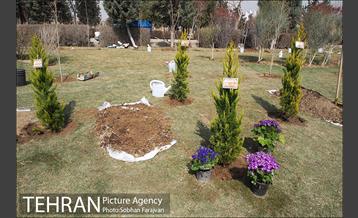 کاشت نهال در بوستان ولایت  43