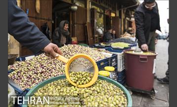 تورهای بازدید از مراکز تکنیکی و توریستی شهر غازی انتپ 11