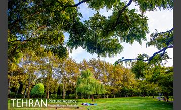 پاییز بوستان لاله 23