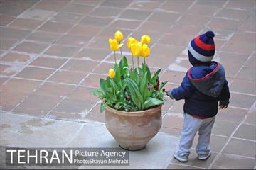 باغ ایراتی (بوستان مهندس مختاری) 20