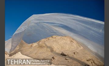 تولید کود کمپوست در پارک جنگلی آزادشهر 6